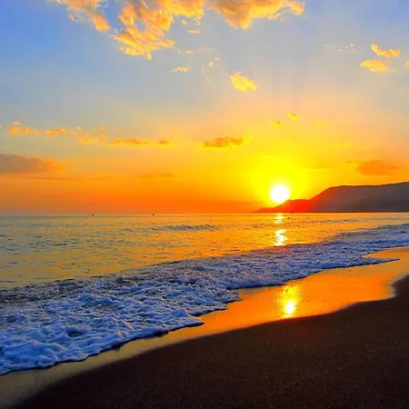 Melody Alanya