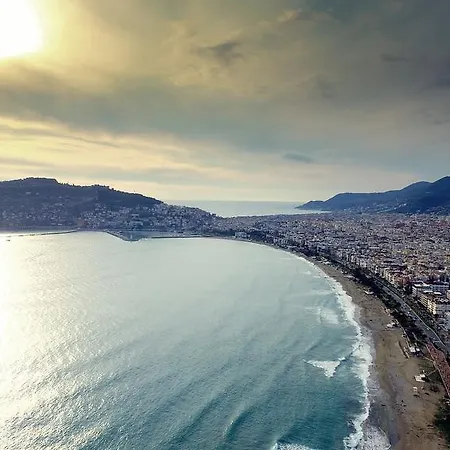 Melody Bed and Breakfast